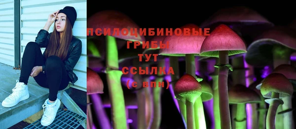 гидра Корсаков