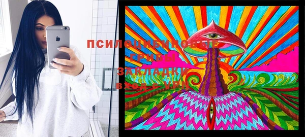 гидра Корсаков