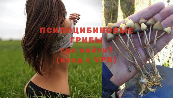 кокс Козельск