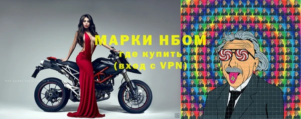 гидра Корсаков