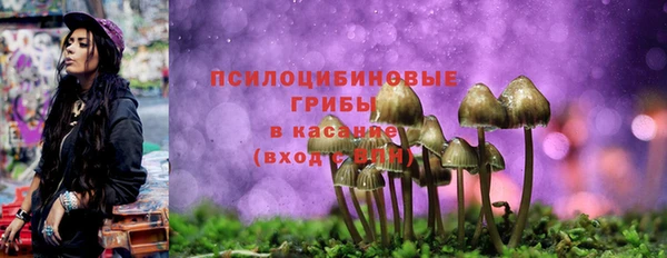 круглые Коряжма