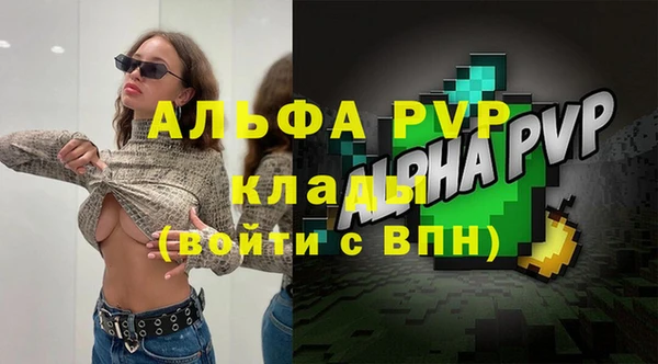 гидра Корсаков