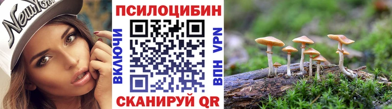 Купить  Белореченск  Псилоцибиновые грибы мицелий 